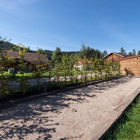 Chalet Du Bien-Etre 15P. Piscine,Spa, Hammam,Petanque,Basket Gérardmer Екстериор снимка